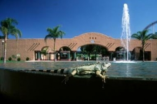 Entrada del zoo